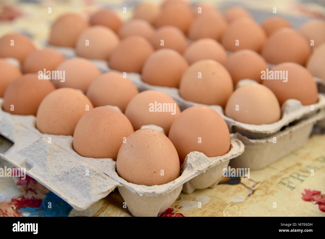 Several egg cartons of farm-fresh brown eggs on display at farmers market in San Diego, California, USA Stock Photo