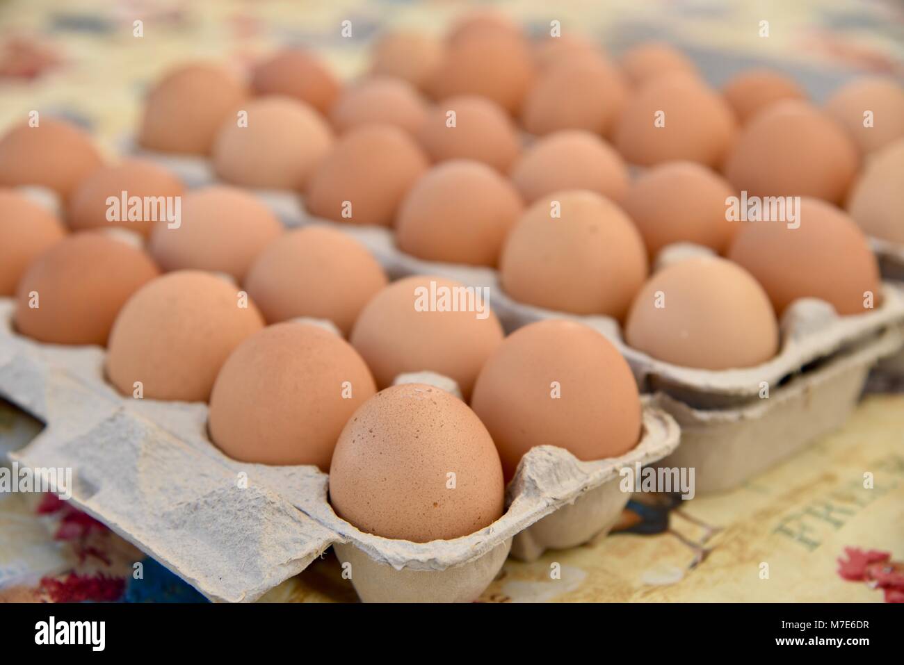 Several egg cartons of farm-fresh brown eggs on display at farmers market in San Diego, California, USA Stock Photo