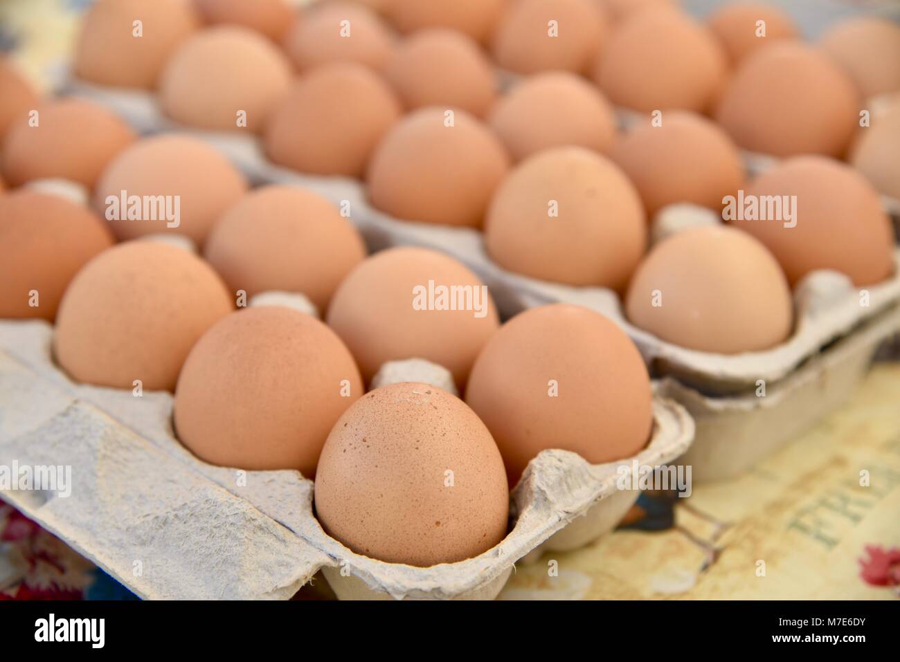 Several egg cartons of farm-fresh brown eggs on display at farmers market in San Diego, California, USA Stock Photo