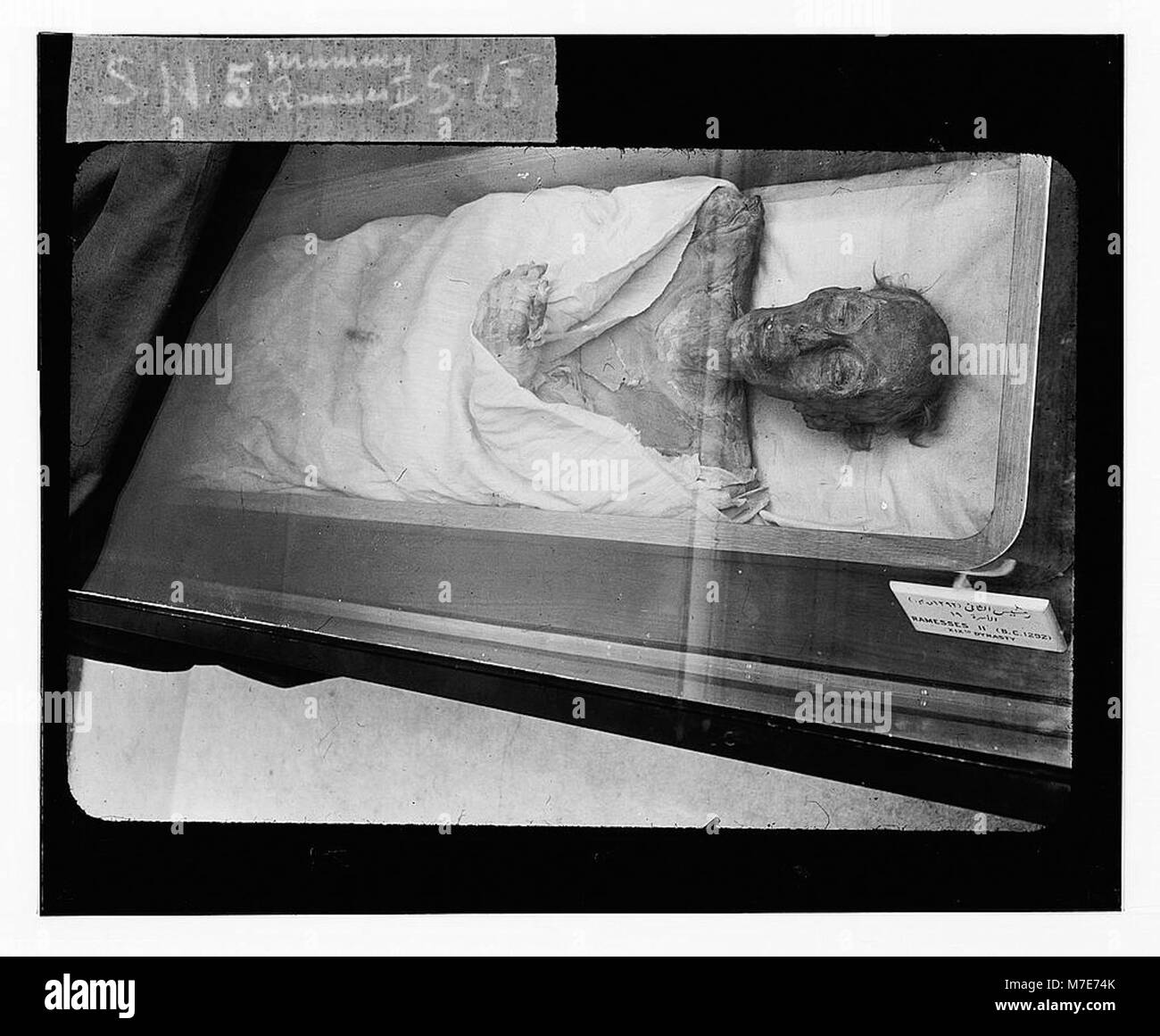 Mummy of Ramses II