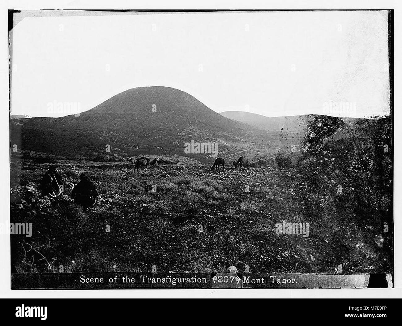 Northern views. Mount Tabor LOC matpc.07539 Stock Photo Alamy