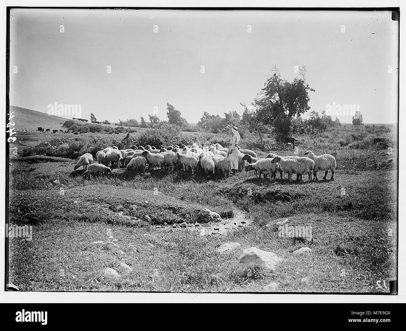 Rural pastoral scene scenic view Black and White Stock Photos & Images ...