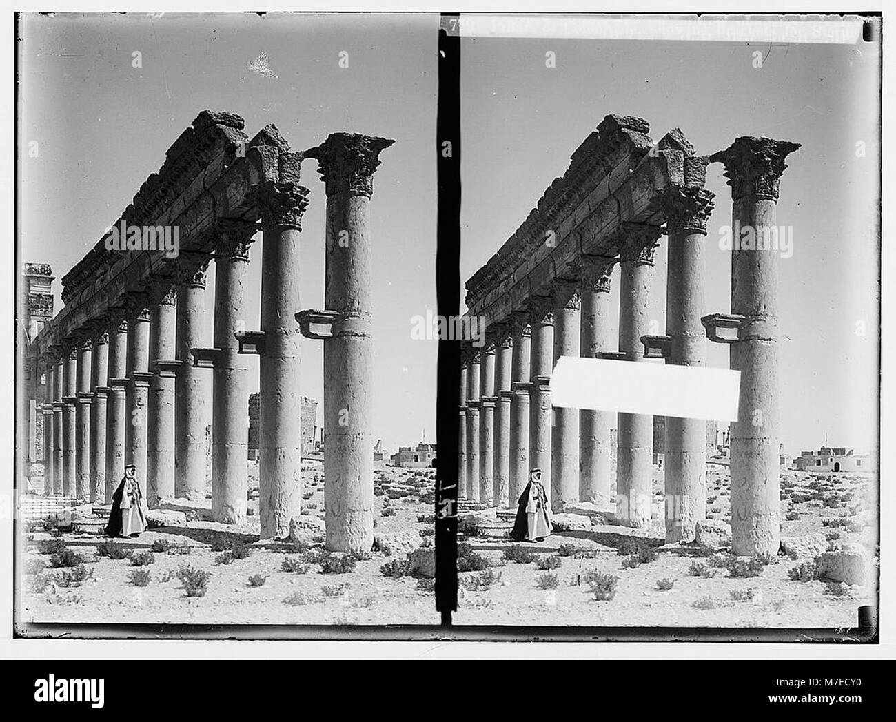 This photograph showcases the pillars of the colonnade in Palmyra ...