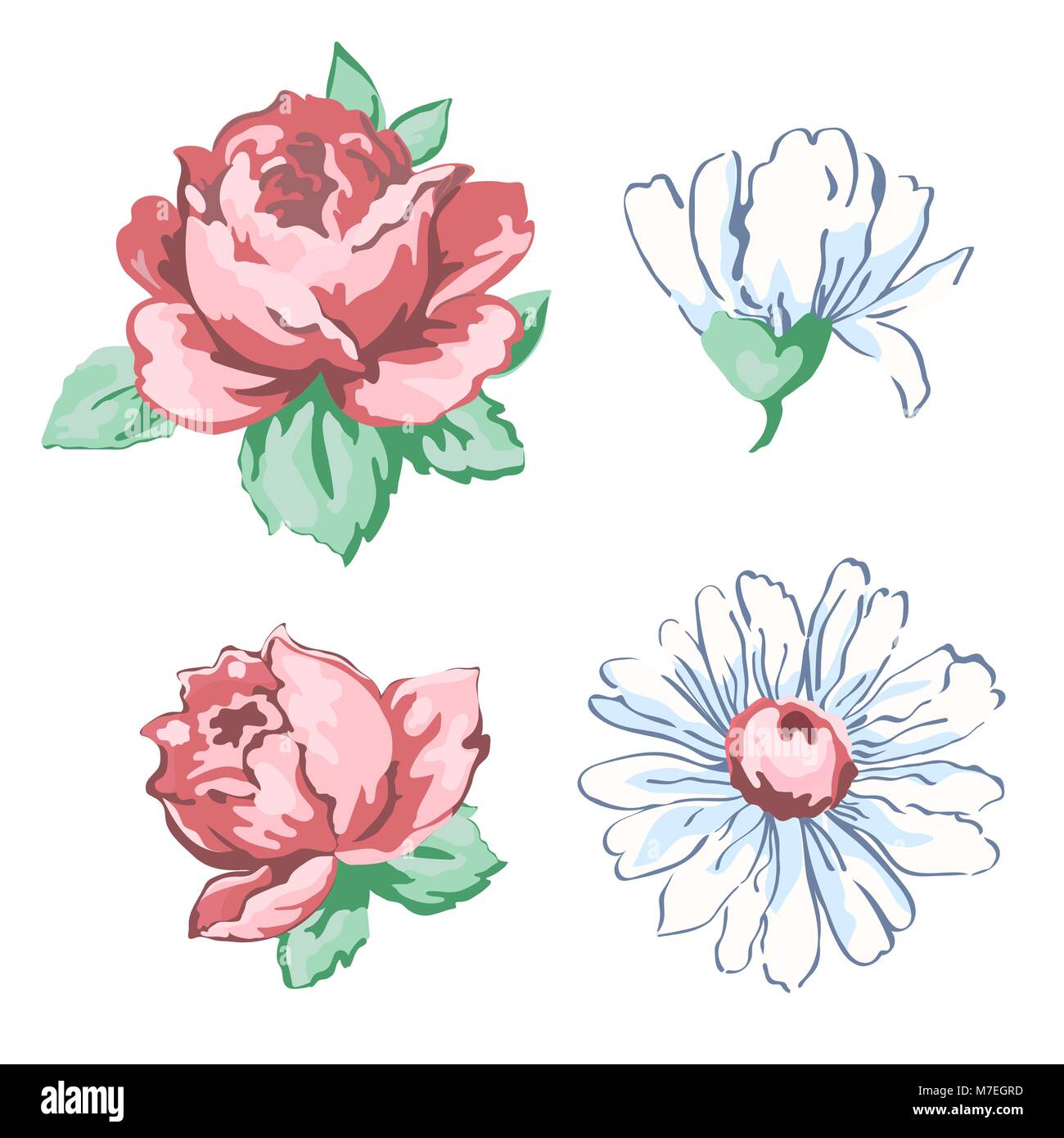 Set of unopened and blossoming drawn buds pink rose flower and white chamomile hand drawing, vector illustration, floral embroidery design, print, decoration element, isolated on white background Stock Vector