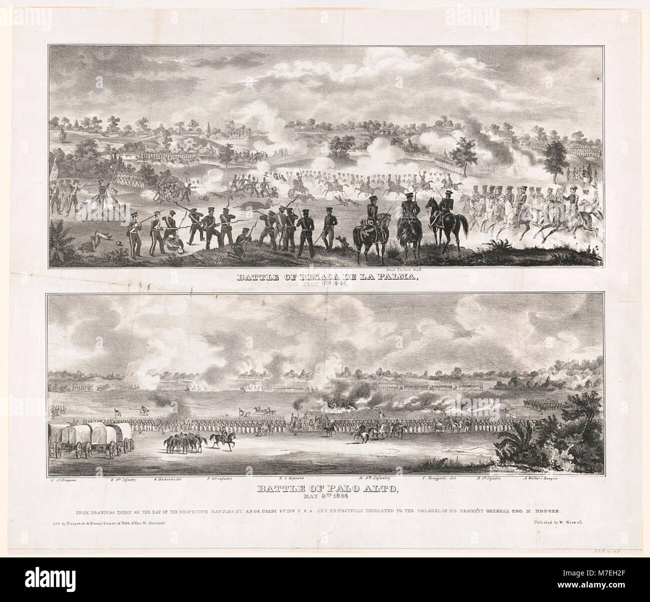 Battle of Resaca de la Palma, May 9th 1846 LCCN00653125 Stock Photo