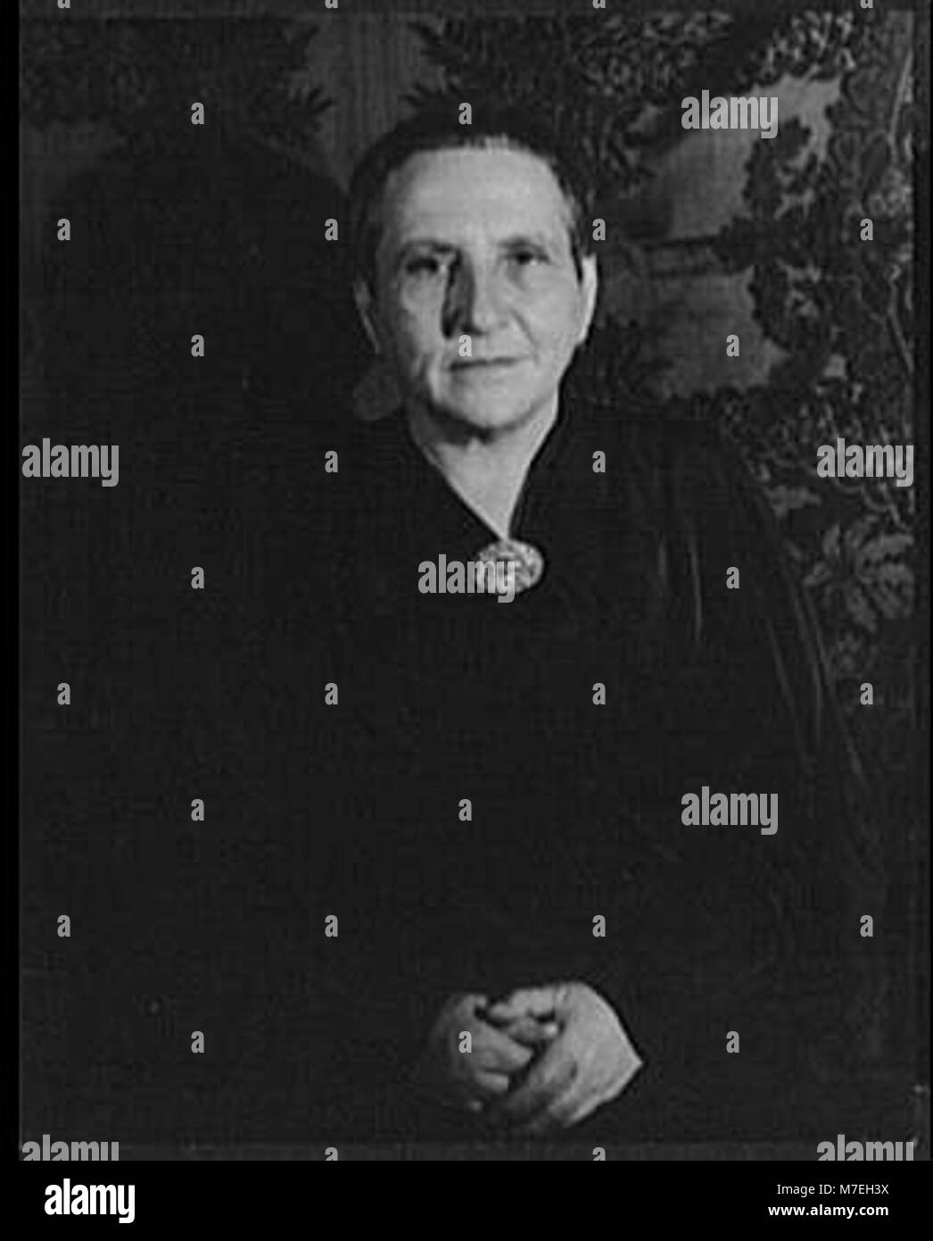 Portrait of Gertrude Stein, New York LCCN2004663583 Stock Photo