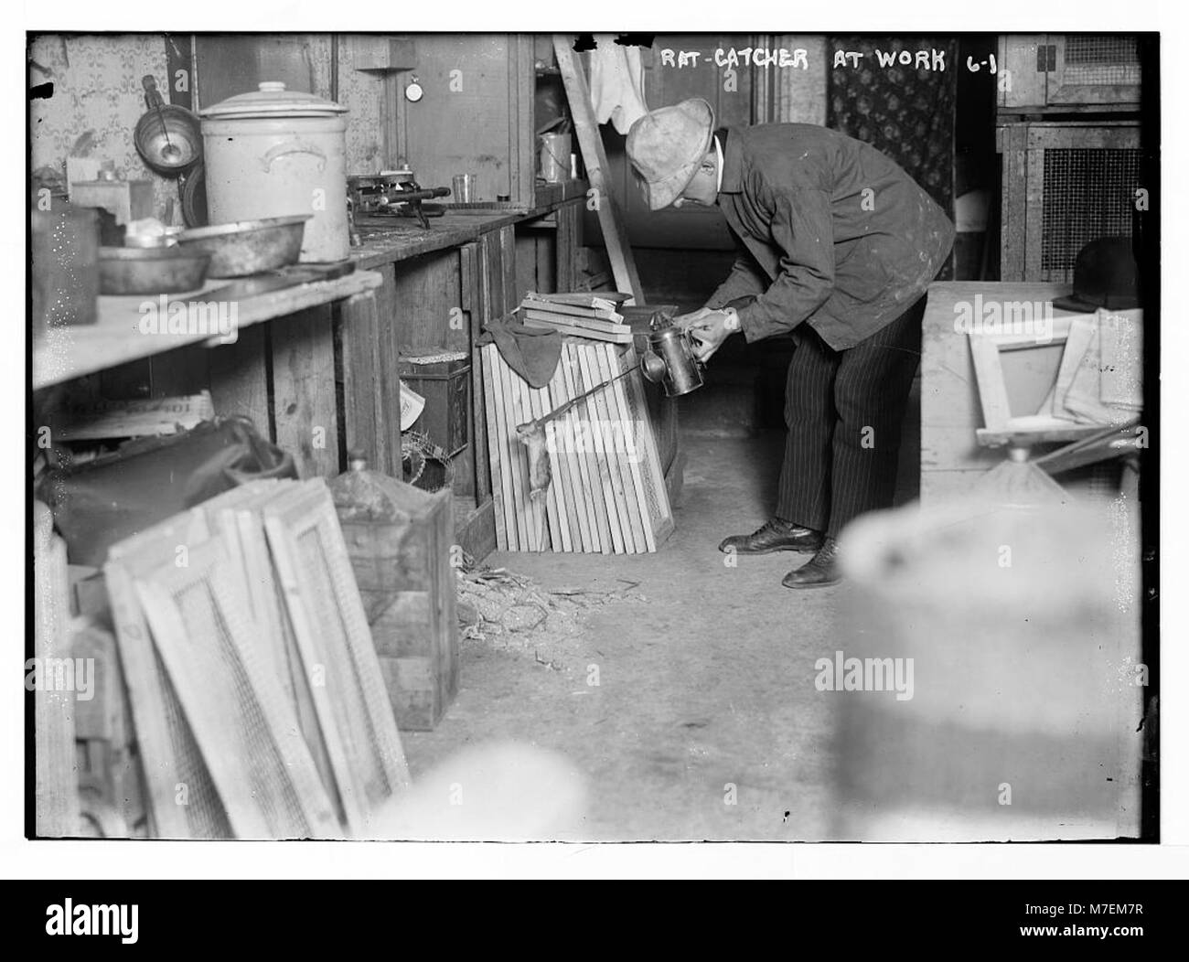 Rat catcher hires stock photography and images Alamy