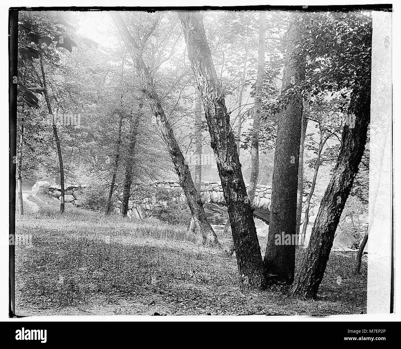 Rock Creek Park LOC npcc.00032 Stock Photo Alamy