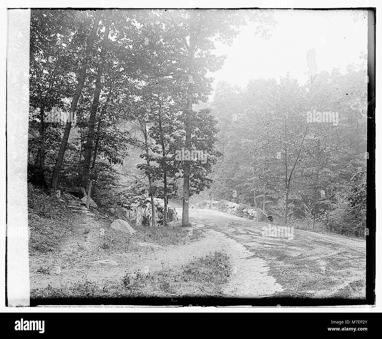 Rock Creek Park LOC npcc.00050 Stock Photo Alamy