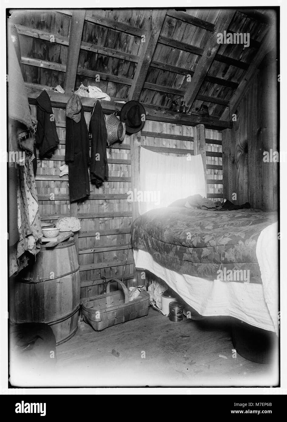 This image depicts the living conditions of cranberry pickers Paulo ...