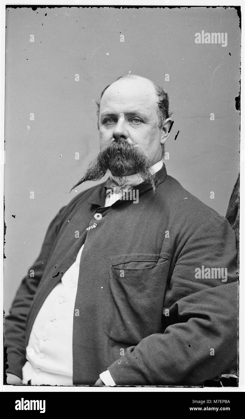 Roswell S. Ripley was a Confederate general during the American Civil ...