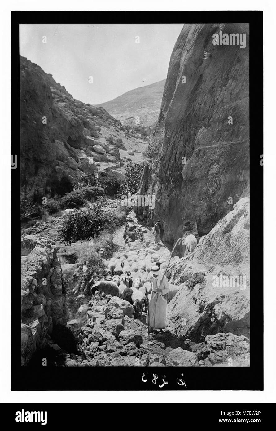Shepherd with rod and staff hi-res stock photography and images - Alamy
