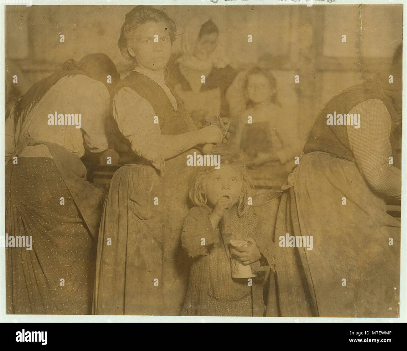 Shuckers in the Varn & Platt Canning Company. This is 4 year old Mary in the foreground. Was helping some. 6 of the shuckers were 10 years and up to 12. LOC cph.3b14404 Stock Photo