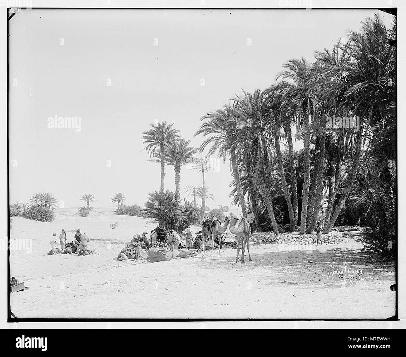 Sinai. Caravan at el-Wad preparing to cross the desert. LOC matpc.07226 Stock Photo