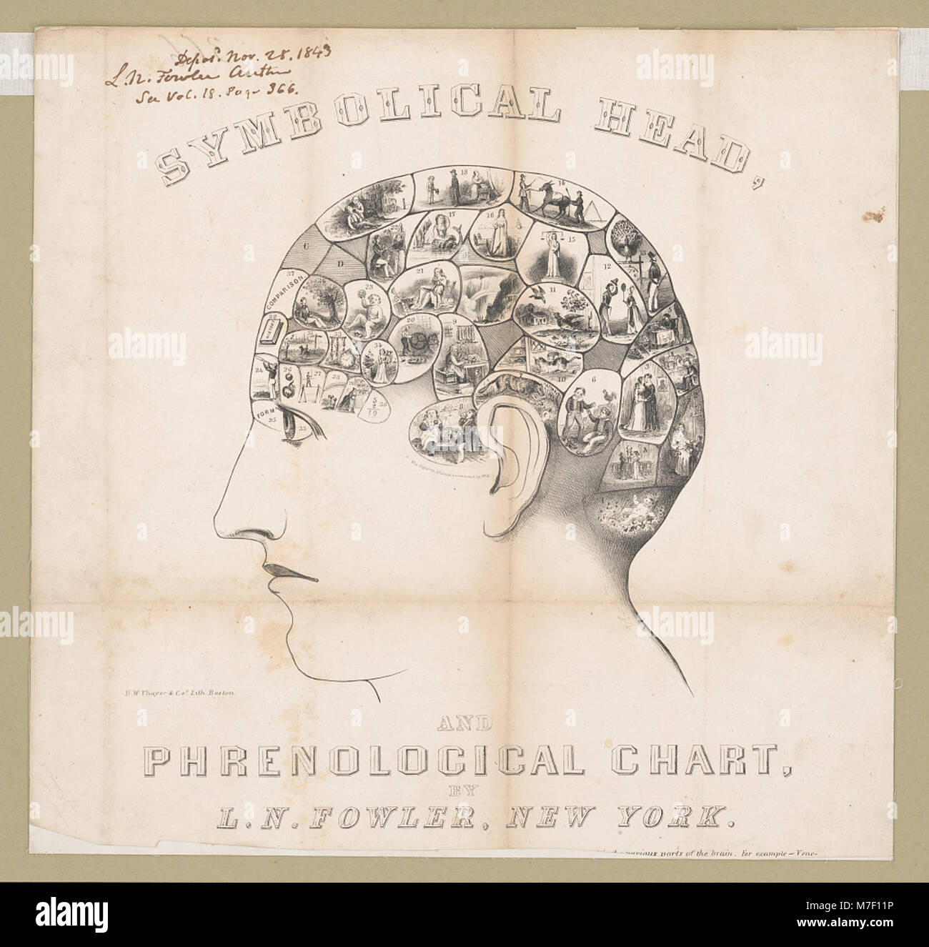Phrenological chart hi-res stock photography and images - Alamy Phrenological chart hi-res stock photography and images - Alamy