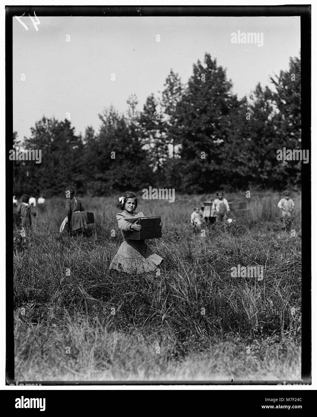 A photograph of Tersea, a woman carrying a 15-pound peck of cranberries from Forsythe's Bog in New Jersey to the bushel man, dated September 29, 1910. Stock Photo