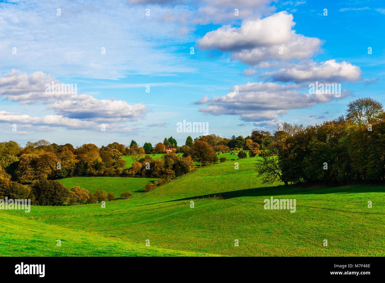 British Rural Countryside English green meadow on a sunny day, a typical rural landscape of the ...