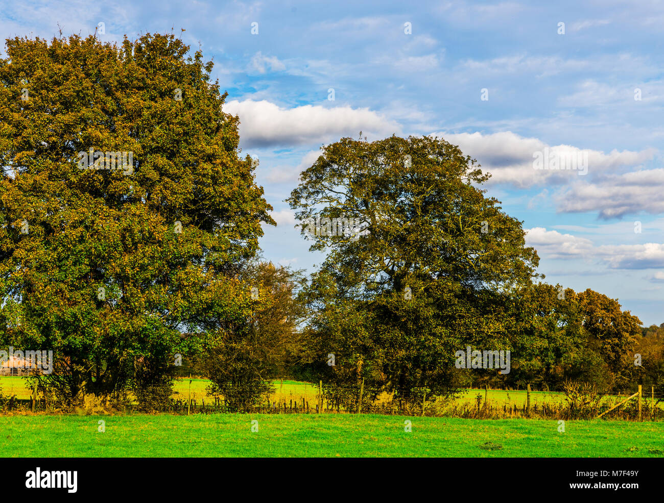 British Rural Countryside English green meadow on a sunny day, a typical rural landscape of the ...
