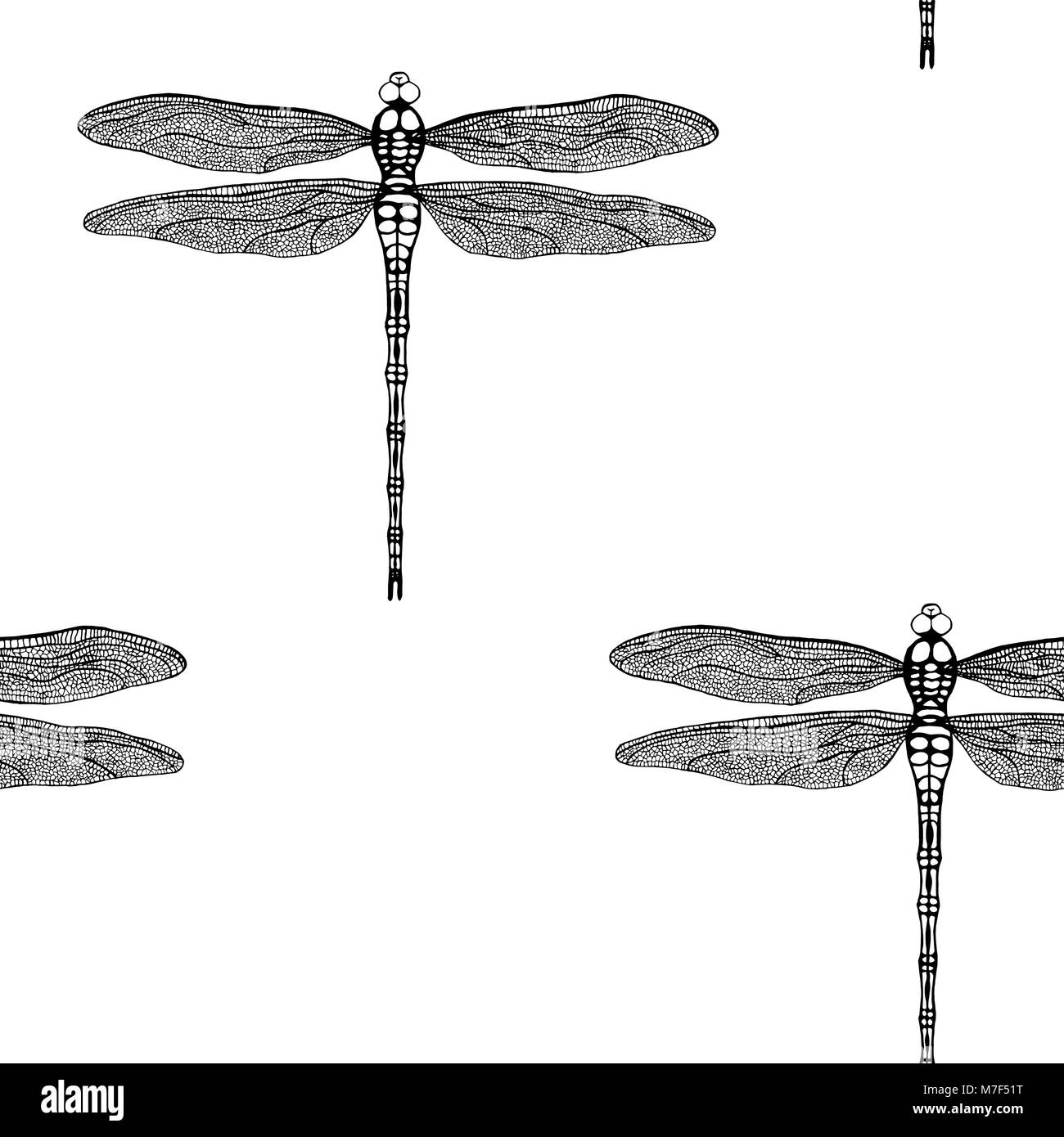 Vector seamless pattern from black hand drawing dragonfly on white ...