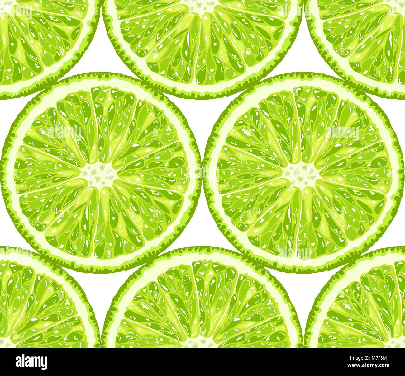 Vector seamless pattern of lime. Citrus background Stock Vector Image ...