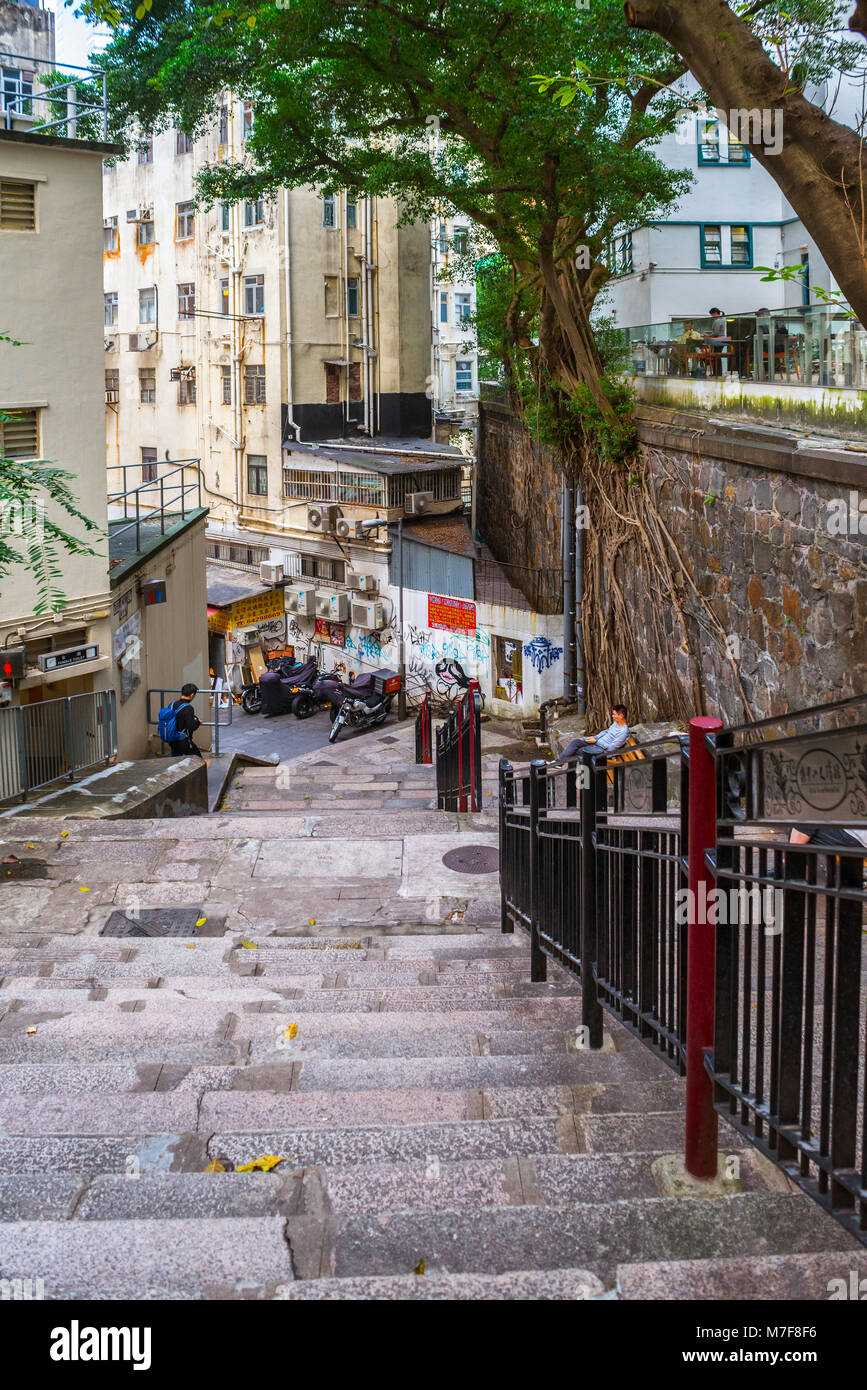 Midlevels, Hong Kong, flight of steps and banyan trees Stock Photo