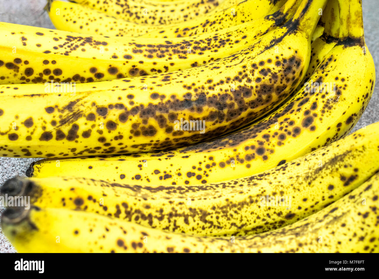 Organic bananas on red background top view. Bunch of bananas is lying on  orange background with dark spots marking ripening process Stock Photo -  Alamy