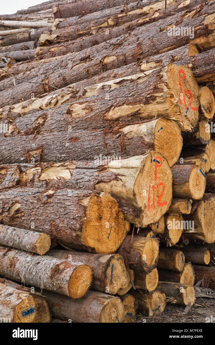 Timber logging canada quebec hires stock photography and images Alamy