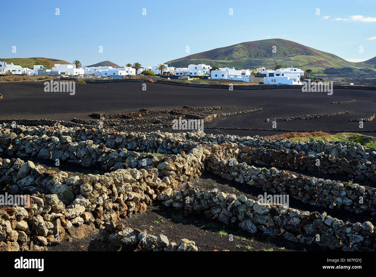 Small fields protected by dry stone walls, near Mancha Blanca ...