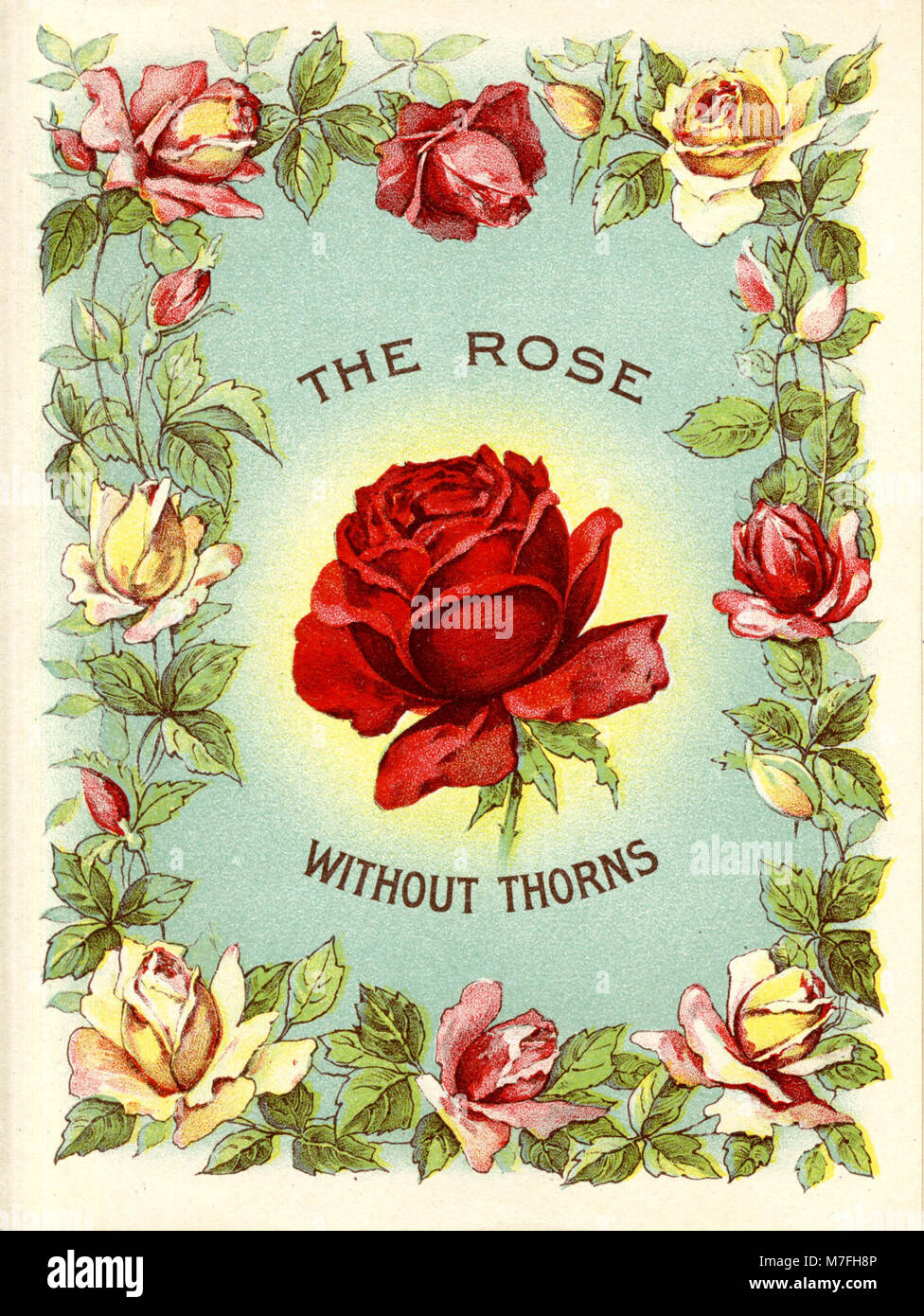 Rose with thorns hires stock photography and images Alamy