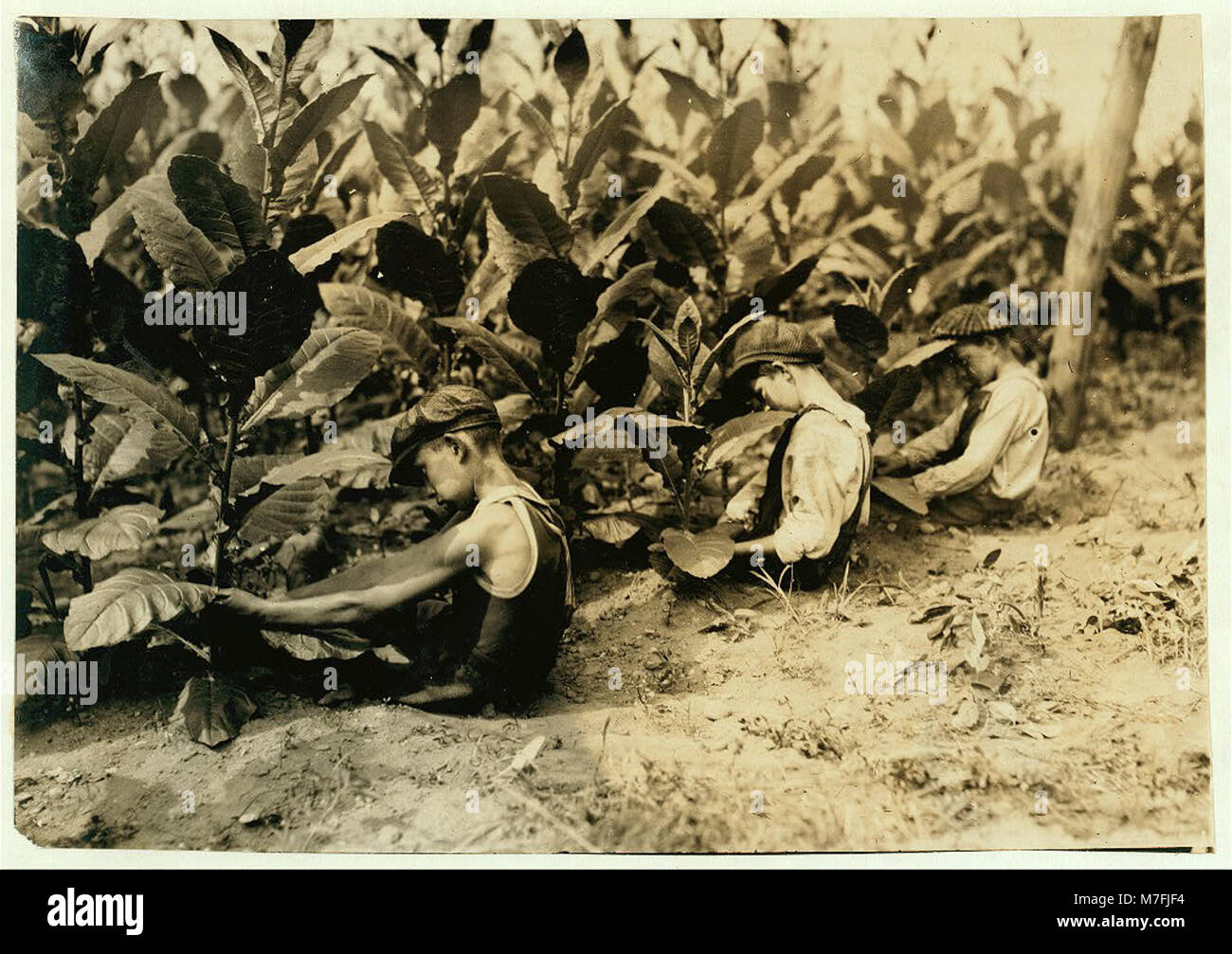 tobacco barn montgomery texas TOBACCO BARN - Updated July 2026 - 21005 Eva St, Montgomery, Texas - Tobacco  Shops - Phone Number