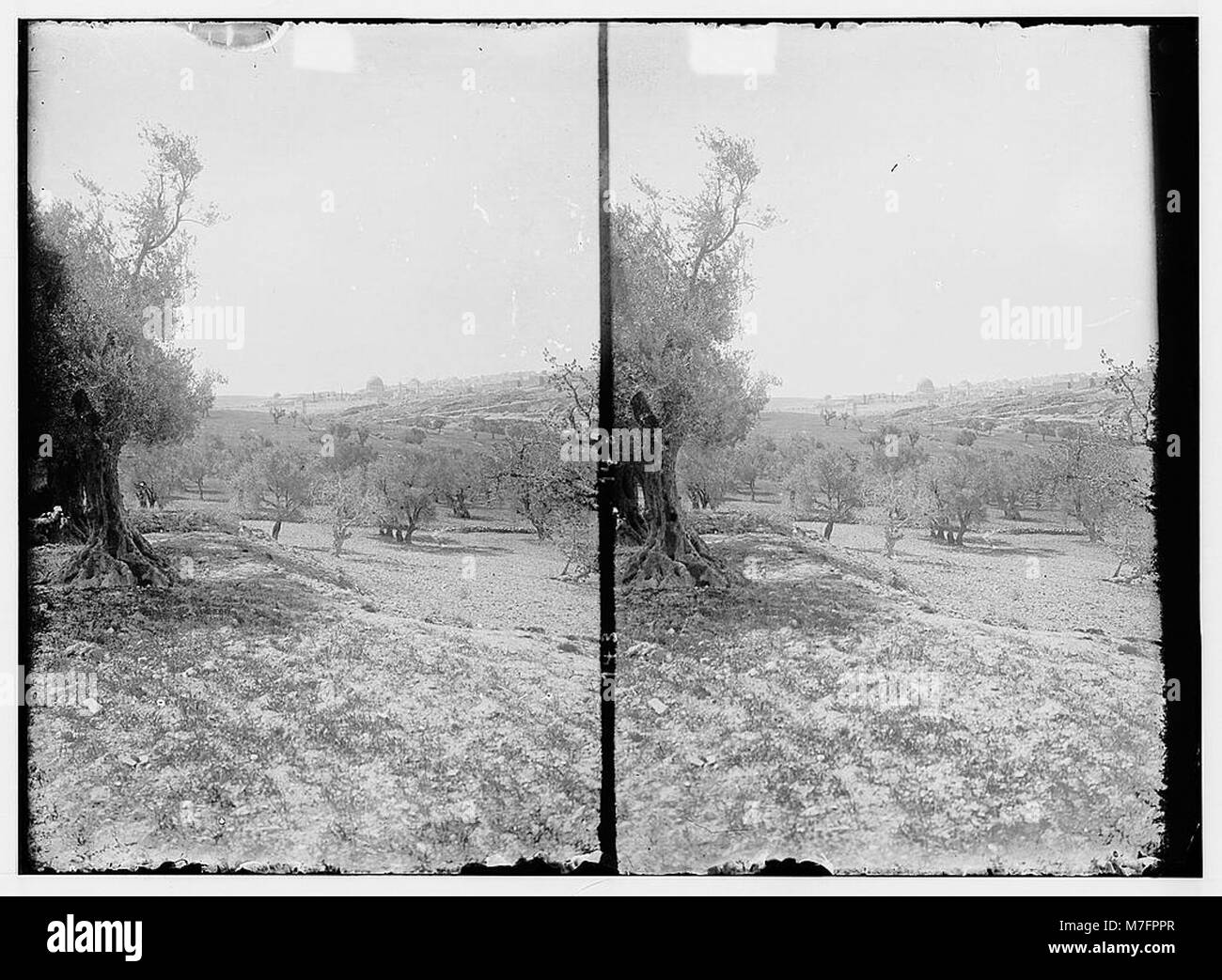 This view shows the Valleys of Jehoshaphat and Hinnom in Jerusalem ...