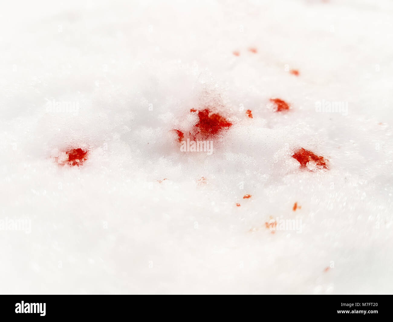 Blood snow ground hi-res stock photography and images - Alamy