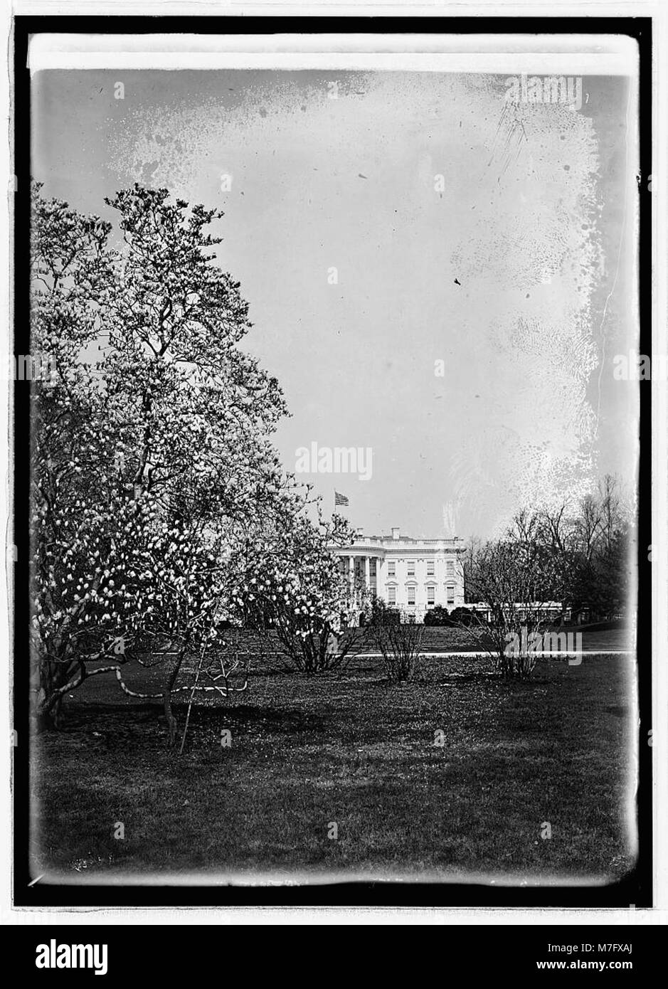 Whha A photograph of the White House, captured from a historical perspective ...
