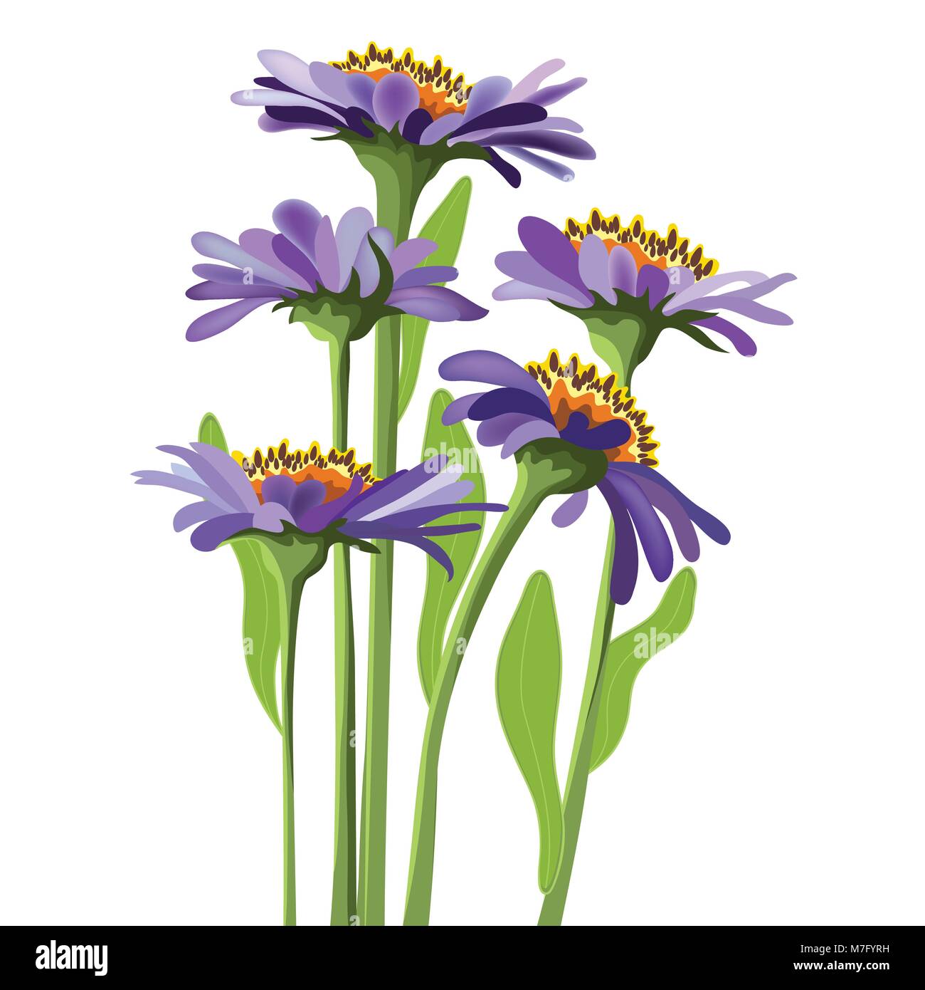 vector floral design, purple aster Stock Vector