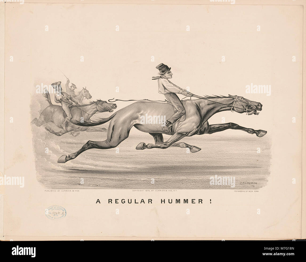 This photograph depicts a regular hummer, likely referring to a common ...