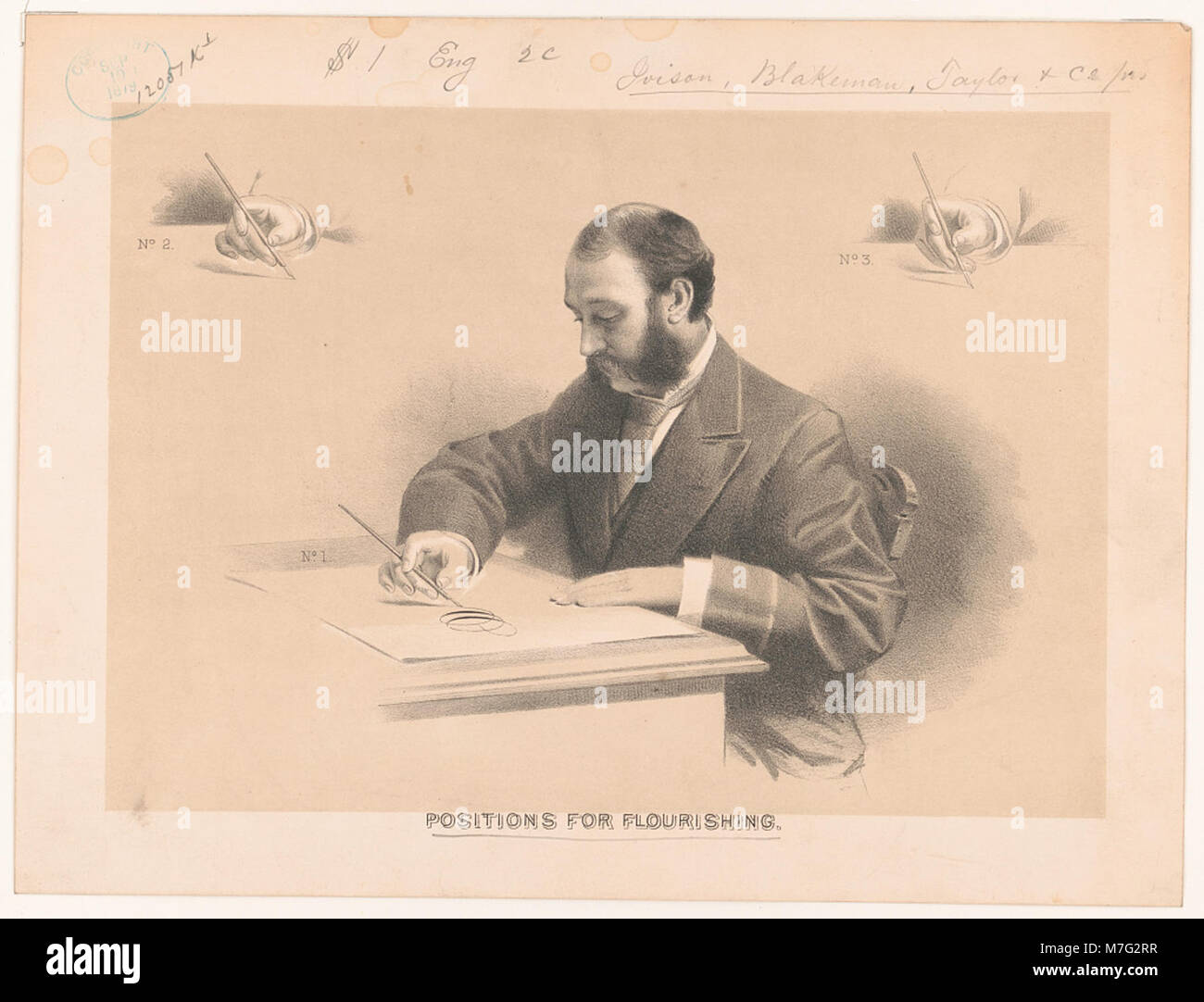 This photograph captures different positions in a flourishing field or agricultural setting. The image highlights the beauty of growing plants or crops in a thriving environment. Stock Photo