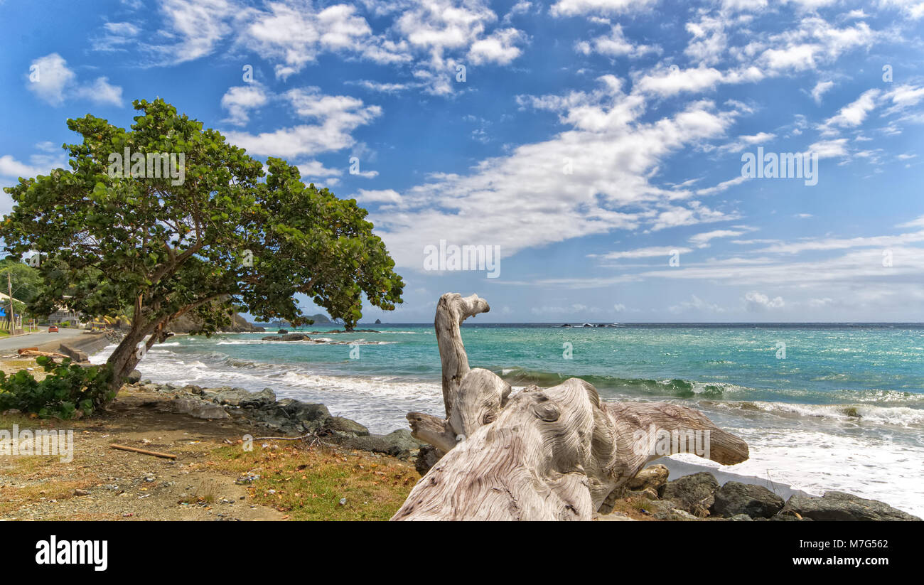 Roxborough tropical beach and sea Tobago tropical island Stock Photo
