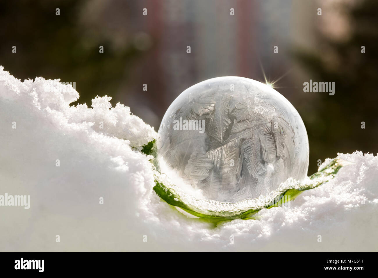 The soap bubble froze in the frost and turned into ice. Winter and sun