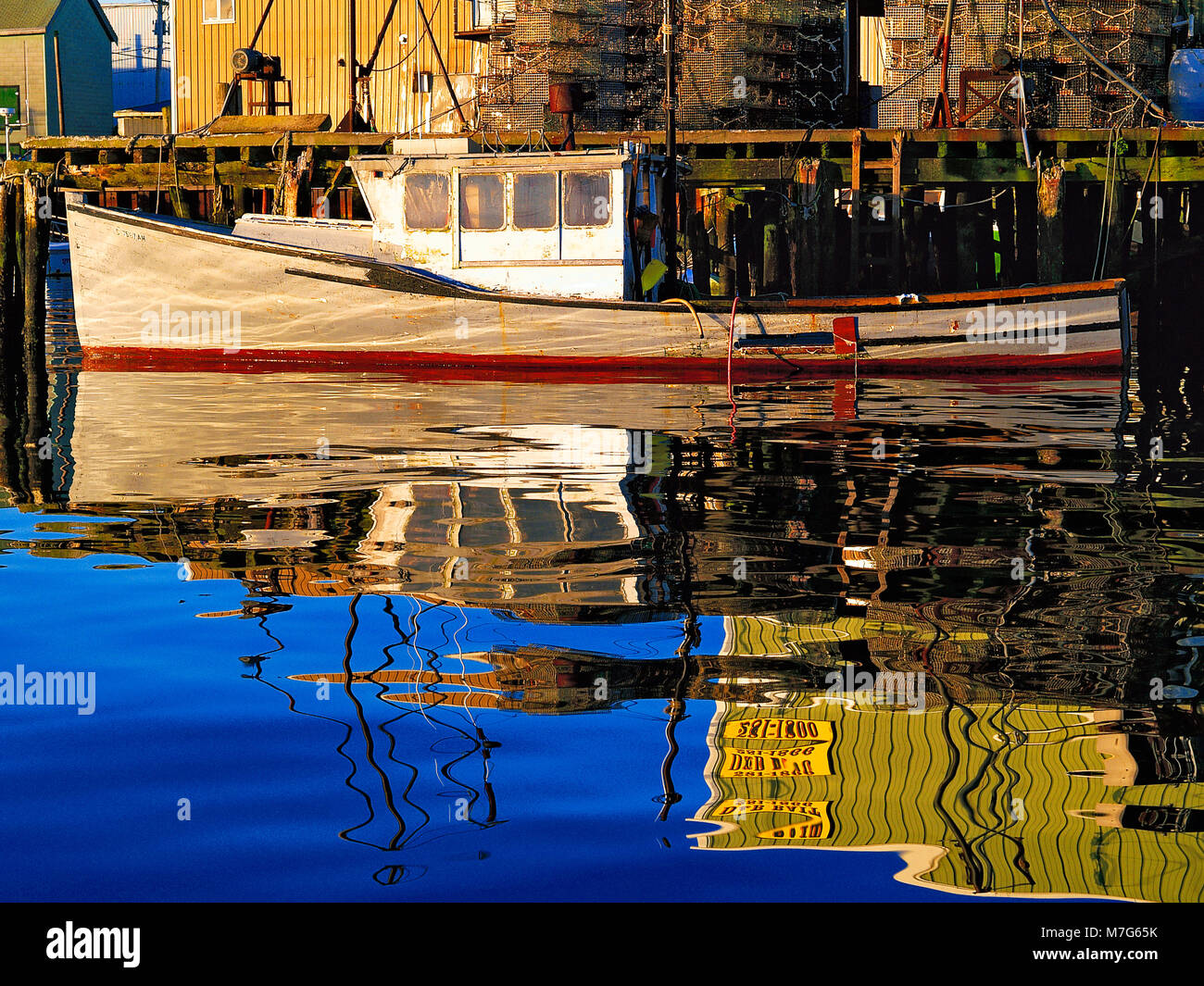 Cape pond ince hires stock photography and images Alamy