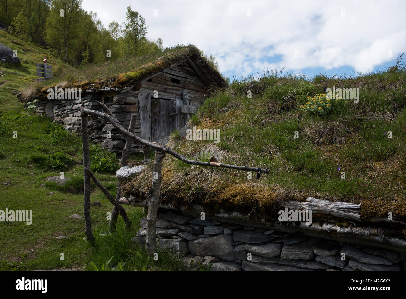 Homlungsaetra is a shieling 550 meter above Geirangerfjord, which is a touristic hotspot in Norway. Stock Photo