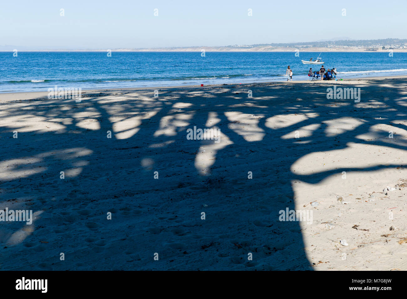 Shadow of a tree Municipal Beach Monterey California USA Stock Photo
