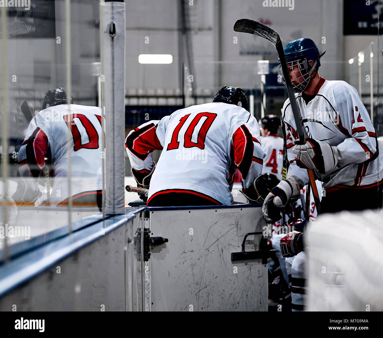Hockey goalie in the world Stock Photo Alamy