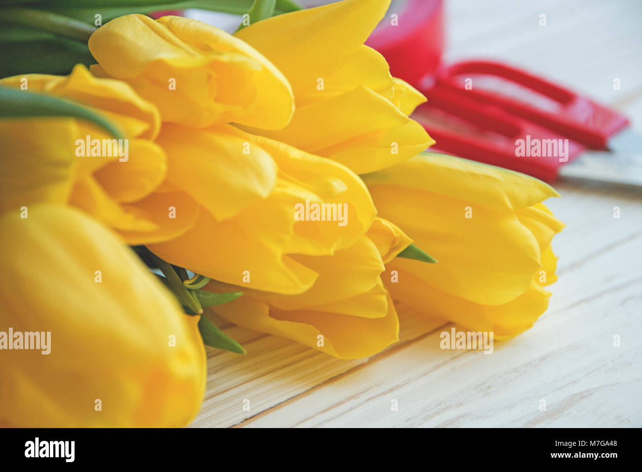 bouqet of yellow tulips on a white wooden background and with red ...