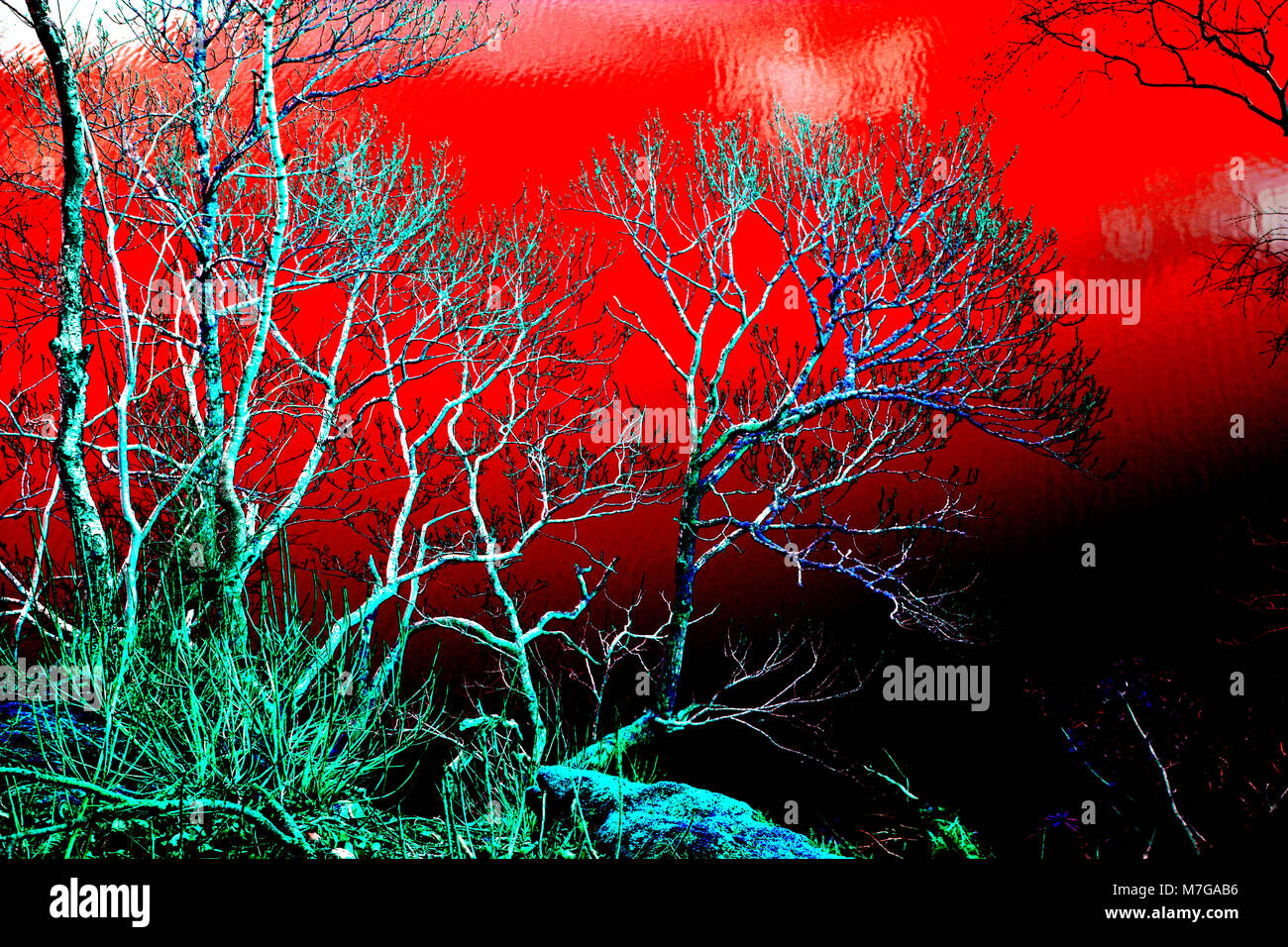 Negative silhouette hi-res stock photography and images - Alamy