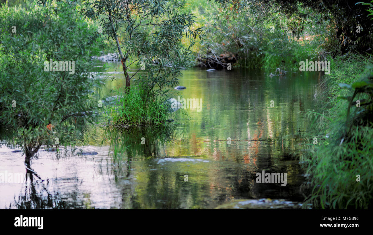 The calming Kaweah River Stock Photo