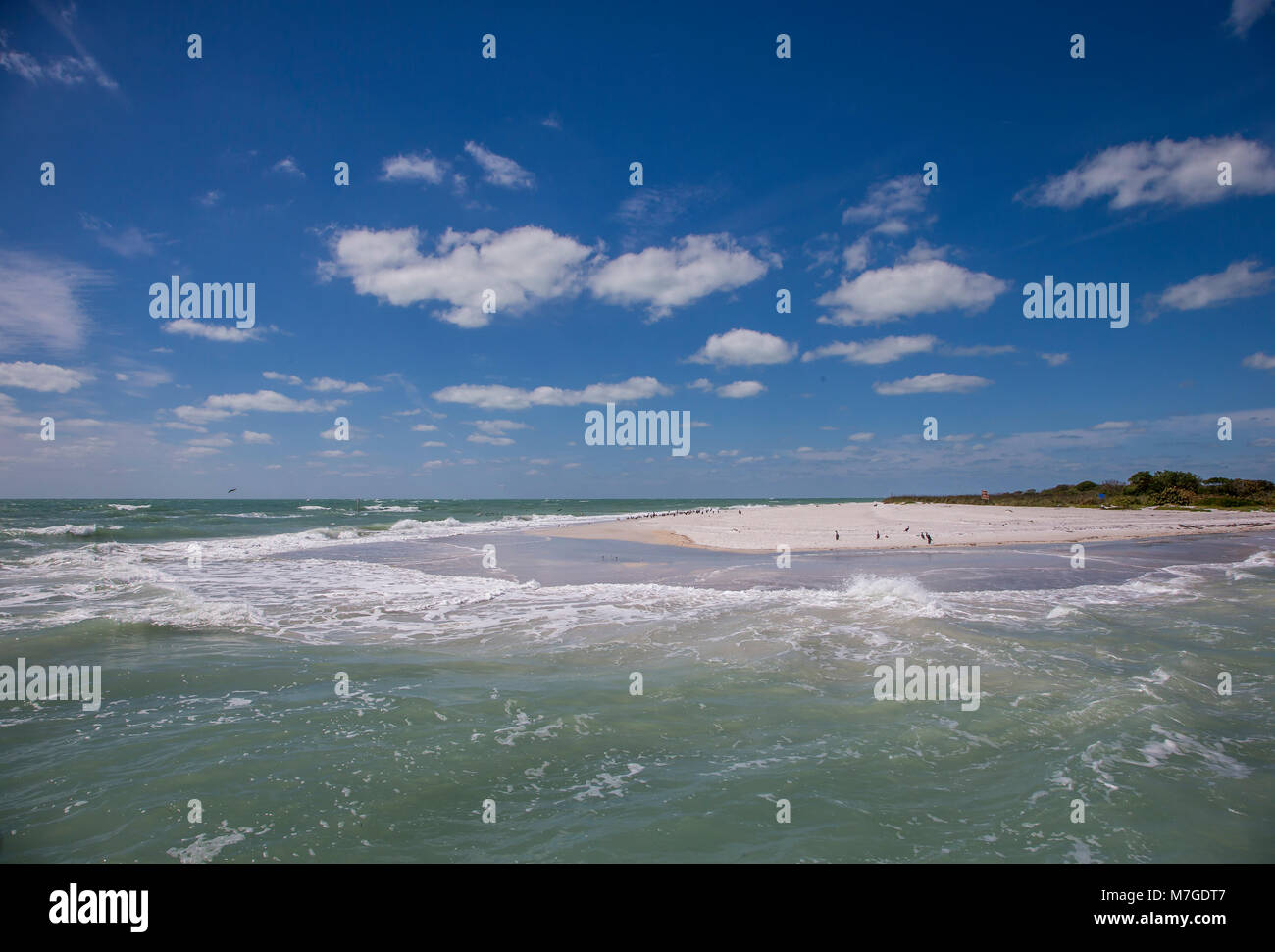Sand beach with birds on the southern tip of Egmont Key State Park in