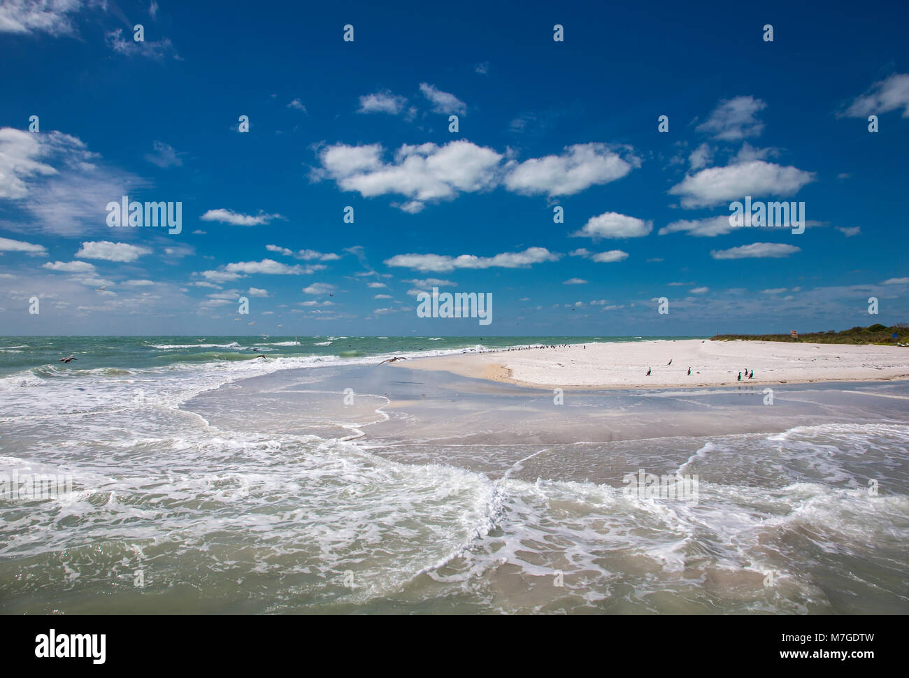 Sand beach with birds on the southern tip of Egmont Key State Park in