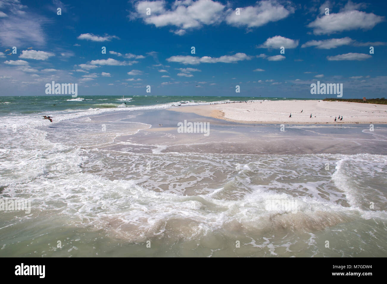 Sand beach with birds on the southern tip of Egmont Key State Park in