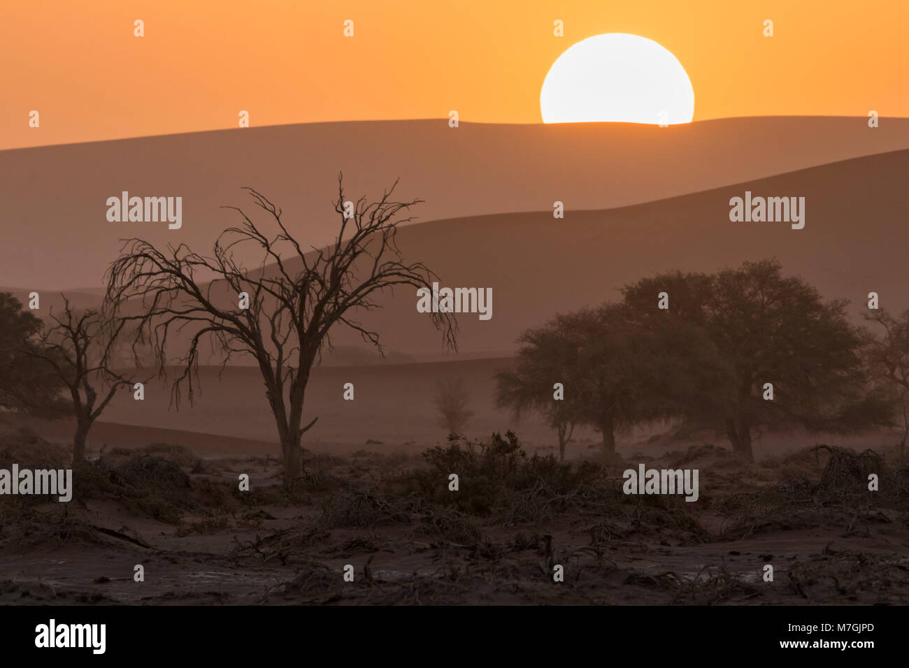 Desert sunset sad dunes hires stock photography and images Alamy