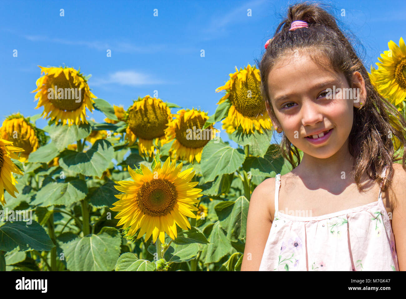 Girl in the sunflower field Stock Photo - Alamy